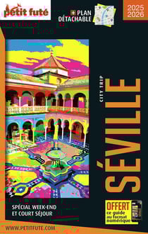 Guide Séville City Trip 2025/2026 City trip Petit Futé