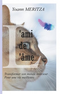 L'ami de l'âme - transformer son monde intérieur pour une vie meilleure
