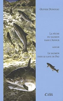 Pêche du saumon dans l'adour - la pêche du saumon dans le gave de pau