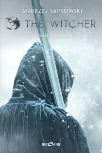 The Witcher (le sorceleur) Tome 3 : le sang des elfes