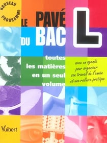 Les paves du bac terminale l