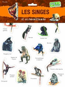 Les singes - 65 autocollants