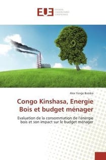 Congo kinshasa, energie bois et budget menager - evaluation de la consommation de l'energie bois et