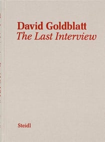 David goldblatt the last interview
