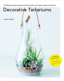 Decorative terrariums: 47 beautiful ideas created with succulent, air plants, moss and orchid: