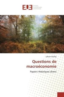 Questions de macroEconomie : Papiers théoriques divers