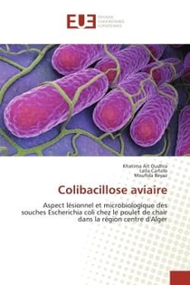 Colibacillose aviaire : Aspect lesionnel et microbiologique des souches escherichia coli chez le poulet de chair