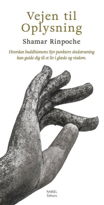 Vejen til oplysning - Hvordan buddhismens Syv punkters sindstroening kan guide dig til et liv i gloede og visdom