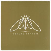 Cicada Rhythm