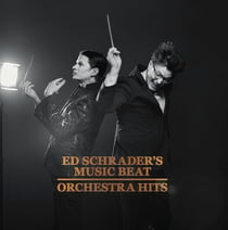 Orchestra Hits - édition limitée colorée 180g