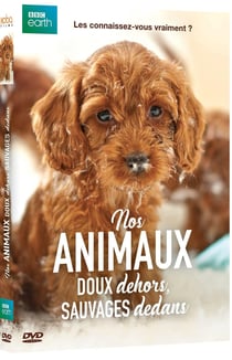 Nos animaux : Doux dehors, sauvages dedans