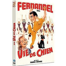 Une vie de chien