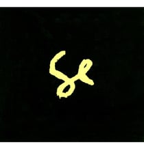 Sylvan Esso