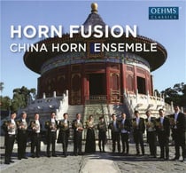 Horn fusion