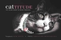 Cattitude - the feline guide to being fabulous