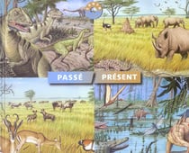 Passe / present
