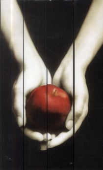 Twilight : coffret Tomes 1 à 4