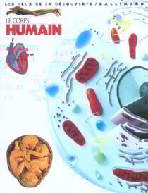 Le corps humain - structures, organes et fonctionnements
