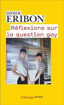Réflexions sur la question gay