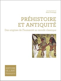 Manuel préhistoire et antiquité - des origines de l'homme au monde classique