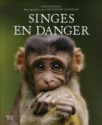 Singes en danger