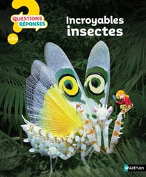 Questions réponses 7+ : incroyables insectes