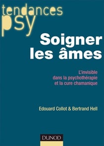 Soigner les âmes - l'invisible dans la psychothérapie et la cure chamanique