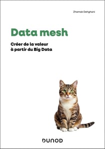 Data mesh
