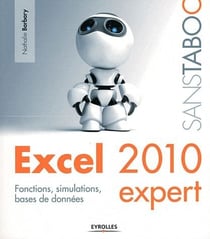 Excel 2010 expert - fonctions, simulations, bases de données