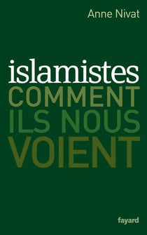 Islamistes : comment ils nous voient