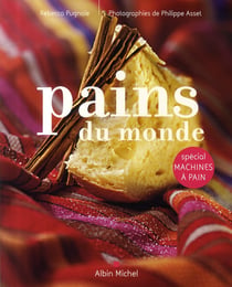 Pains du monde