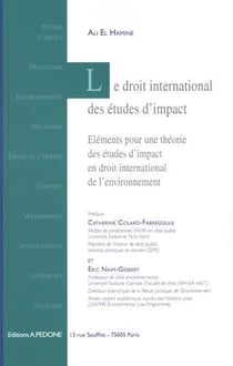 Le droit international des études d'impact : éléments pour une théorie des études d'impact en droit international de l'environnement