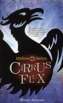Cirrus flux