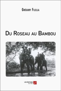Du roseau au bambou