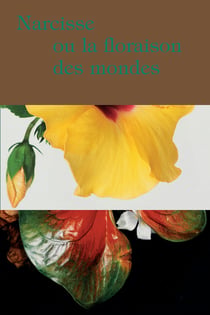 Narcisse ou la floraison des mondes - les fleurs dans l'art contemporain