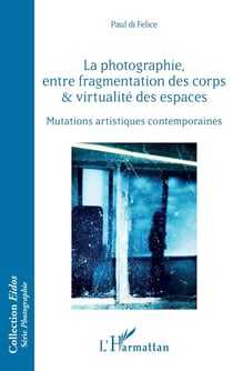 La photographie, entre fragmentation des corps et virtualité des espaces - mutations artistiques contemporaines