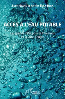 Accès à l'eau potable : les grands défis pour le Cameroun et la Côte d'Ivoire
