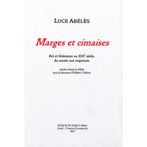 Marges et cimaises - art et litterature au xixe siecle, du musee aux imprimes