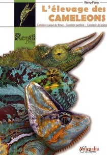 L'élevage des caméléons - caméléon casqué du Yémen, caméléon de Jackson, caméléon panthère