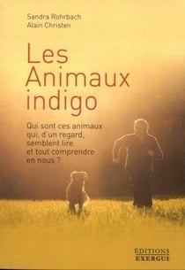 Les animaux indigo - qui sont ces animaux qui, d'un regard, semblent lire et tout comprendre en nous ?