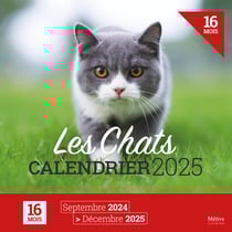 Les chats : Calendrier (édition 2025)