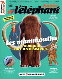 L'éléphant junior n.20