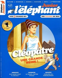 L'éléphant junior n.24
