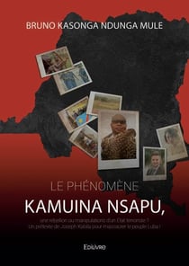 Le phenomene kamuina nsapu, une rebellion ou manipulations d un etat terroriste ? - un pretexte de j