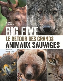 Big five - le retour des grands animaux sauvages