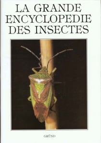 Insectes