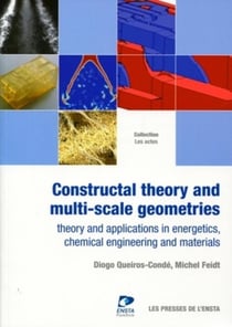 Constructal theory and multi-scale geometries - theory and applications in energetics, chemical engineering and materials