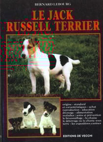 Le jack russell terrier