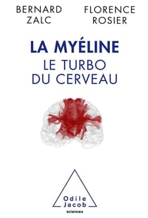 La myéline - le turbo du cerveau