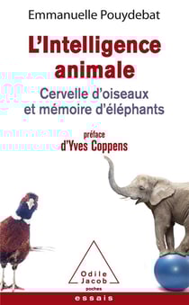 L'intelligence animale - cervelle d'oiseaux et mémoire d'éléphants